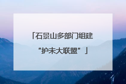 石景山多部门组建“护未大联盟”