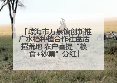 琼海市万泉镇创新推广水稻种植合作社盘活撂荒地 农户喜提“粮食+钞票”分红