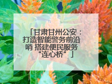 甘肃甘州公安：打造智能警务前沿哨 搭建便民服务“连心桥”