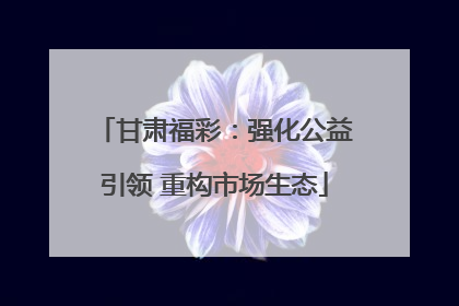甘肃福彩：强化公益引领 重构市场生态