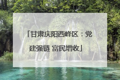 甘肃庆阳西峰区：党建强链 富民增收
