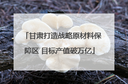 甘肃打造战略原材料保障区 目标产值破万亿