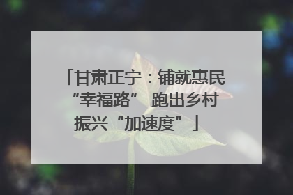 甘肃正宁：铺就惠民“幸福路” 跑出乡村振兴“加速度”