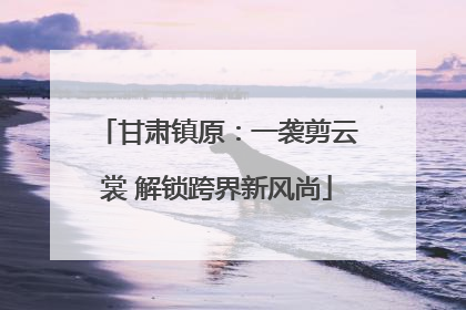 甘肃镇原：一袭剪云裳 解锁跨界新风尚