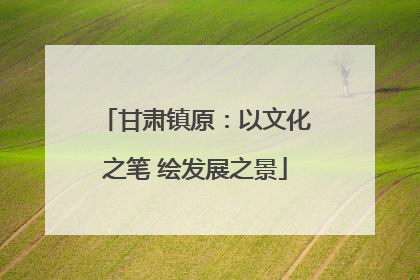 甘肃镇原：以文化之笔 绘发展之景