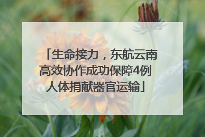 生命接力，东航云南高效协作成功保障4例人体捐献器官运输