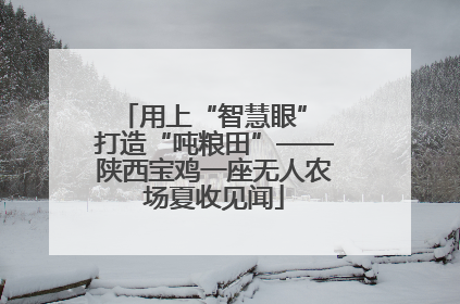 用上“智慧眼” 打造“吨粮田”——陕西宝鸡一座无人农场夏收见闻