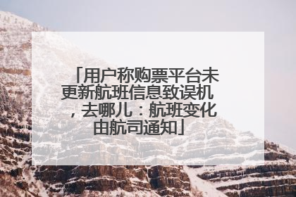 用户称购票平台未更新航班信息致误机，去哪儿：航班变化由航司通知
