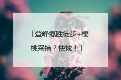 登峰揽胜徒步+樱桃采摘？快炫！