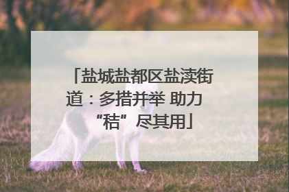 盐城盐都区盐渎街道：多措并举 助力“秸”尽其用
