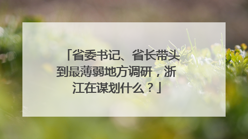 省委书记、省长带头到最薄弱地方调研，浙江在谋划什么？