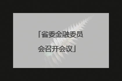省委金融委员会召开会议