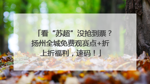 看“苏超”没抢到票？扬州全城免费观赛点+折上折福利，速码！