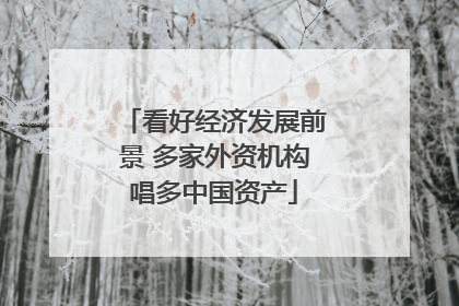 看好经济发展前景 多家外资机构唱多中国资产