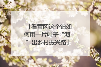 看黄冈这个镇如何用一片叶子“沏”出乡村振兴路