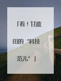看！甘蔗田的“科技范儿”