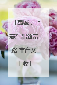 禹城：“蒜”出致富路 丰产又丰收