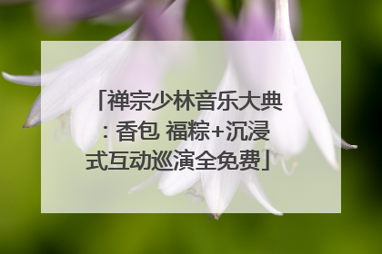 禅宗少林音乐大典：香包 福粽+沉浸式互动巡演全免费