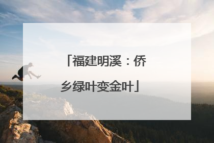福建明溪：侨乡绿叶变金叶