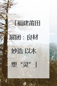 福建莆田展团：良材妙造 以木塑“灵”