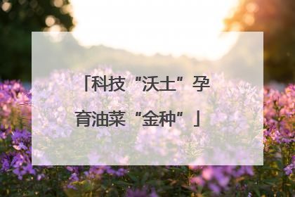 科技“沃土”孕育油菜“金种”
