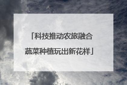 科技推动农旅融合 蔬菜种植玩出新花样