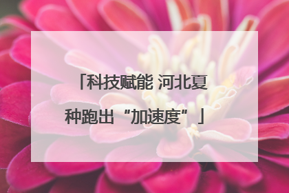 科技赋能 河北夏种跑出“加速度”