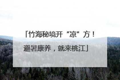 竹海秘境开“凉”方！避暑康养，就来桃江