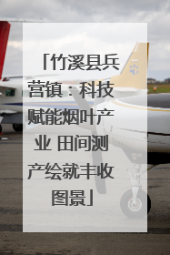 竹溪县兵营镇：科技赋能烟叶产业 田间测产绘就丰收图景