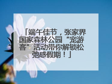 端午佳节，张家界国家森林公园“宠游客”活动带你解锁松弛感假期！