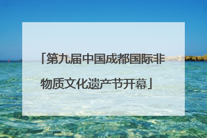 第九届中国成都国际非物质文化遗产节开幕
