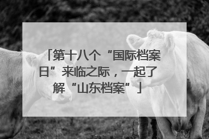 第十八个“国际档案日”来临之际，一起了解“山东档案”