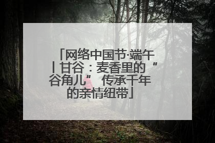 网络中国节·端午丨甘谷：麦香里的“谷角儿” 传承千年的亲情纽带