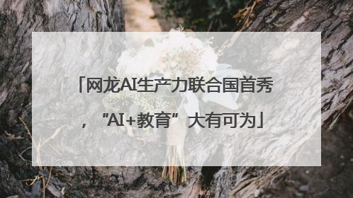 网龙AI生产力联合国首秀，“AI+教育”大有可为