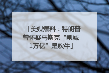 美媒爆料：特朗普曾怀疑马斯克“削减1万亿”是吹牛