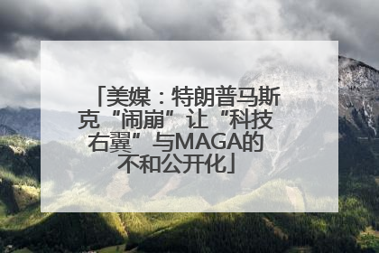 美媒：特朗普马斯克“闹崩”让“科技右翼”与MAGA的不和公开化