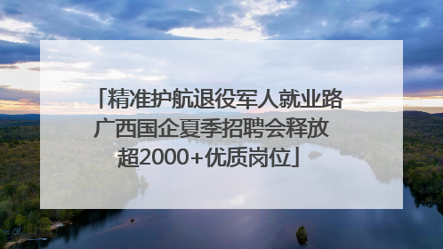 精准护航退役军人就业路 广西国企夏季招聘会释放超2000+优质岗位