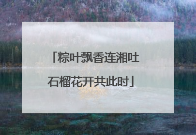 粽叶飘香连湘吐 石榴花开共此时