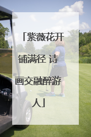 紫薇花开铺满径 诗画交融醉游人