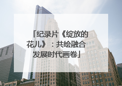 纪录片《绽放的花儿》：共绘融合发展时代画卷
