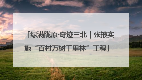 绿满陇原·奇迹三北｜张掖实施“百村万树千里林”工程