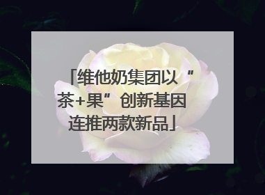维他奶集团以“茶+果”创新基因连推两款新品