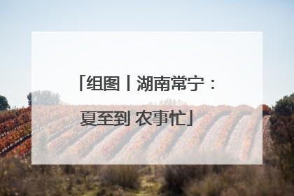 组图丨湖南常宁：夏至到 农事忙