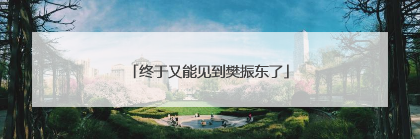 终于又能见到樊振东了