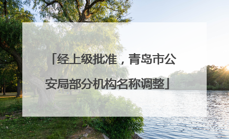 经上级批准，青岛市公安局部分机构名称调整