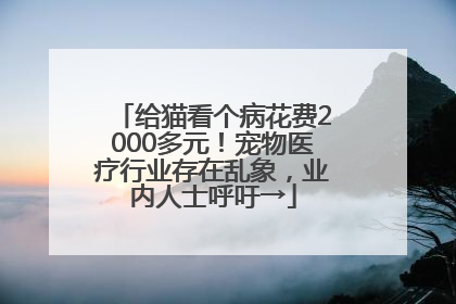 给猫看个病花费2000多元！宠物医疗行业存在乱象，业内人士呼吁→