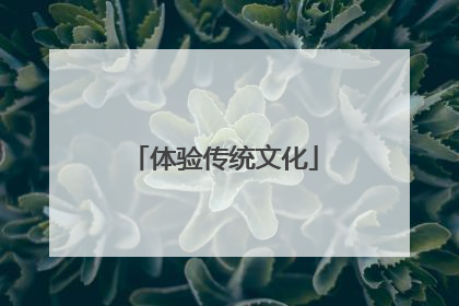 体验传统文化