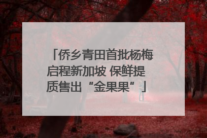 侨乡青田首批杨梅启程新加坡 保鲜提质售出“金果果”