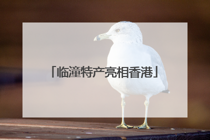 临潼特产亮相香港