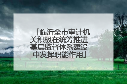 临沂全市审计机关积极在统筹推进基层监督体系建设中发挥职能作用